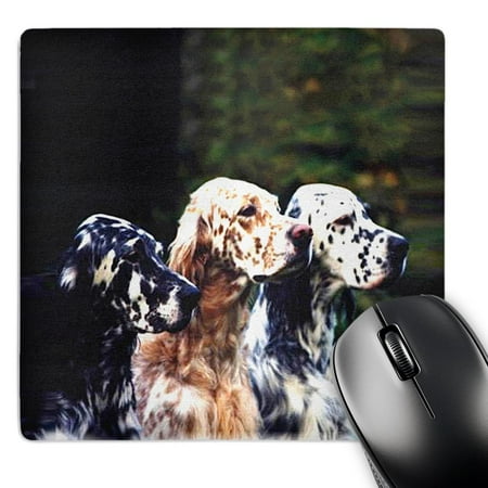 3dRose  English Setter  MousePad price history on PriceWatchPro