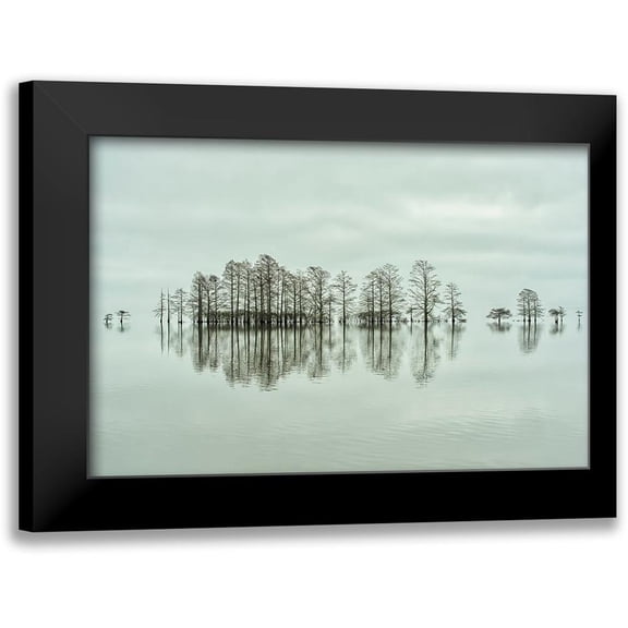 Yu, Liyun 14x11 Black Modern Framed Museum Art Print Titled - Lake-Shore Lineup Beauty