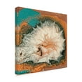 thumbnail image 2 of Trademark Fine Art 'Caldera I' Canvas Art by Alicia Ludwig, 2 of 4