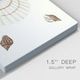 thumbnail image 3 of Pastel Knorr Shells IV Premium Gallery Wrapped Canvas - Ready to Hang, 3 of 9