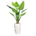 thumbnail image 1 of Vintage Home Artificial Faux Real Touch 6.17 Feet Tall Philodendron Erubescens With Fiberstone Planter, 1 of 3