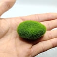 thumbnail image 2 of Becaristey 15pieces Add Of Nature With Simulation Seaweed Ball Realistic Appearance Eco-friendly, 2 of 6
