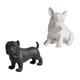 thumbnail image 5 of 2 piezas de estatuillas modernas de resina para perros, animales, estante de TV, decoración, adornos, ilustraciones Macarena Estatua de mesa, 5 of 8