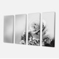 thumbnail image 2 of Rose Noire et Blanche au Printemps. - Impression sur Toile Florale, 2 of 3