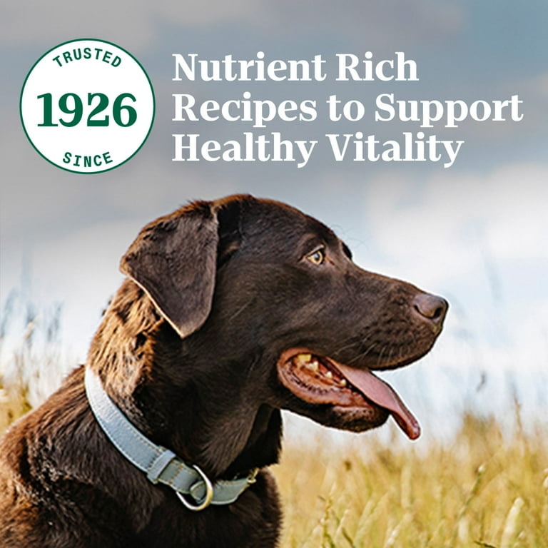 Nutro ultra dog food walmart hot sale