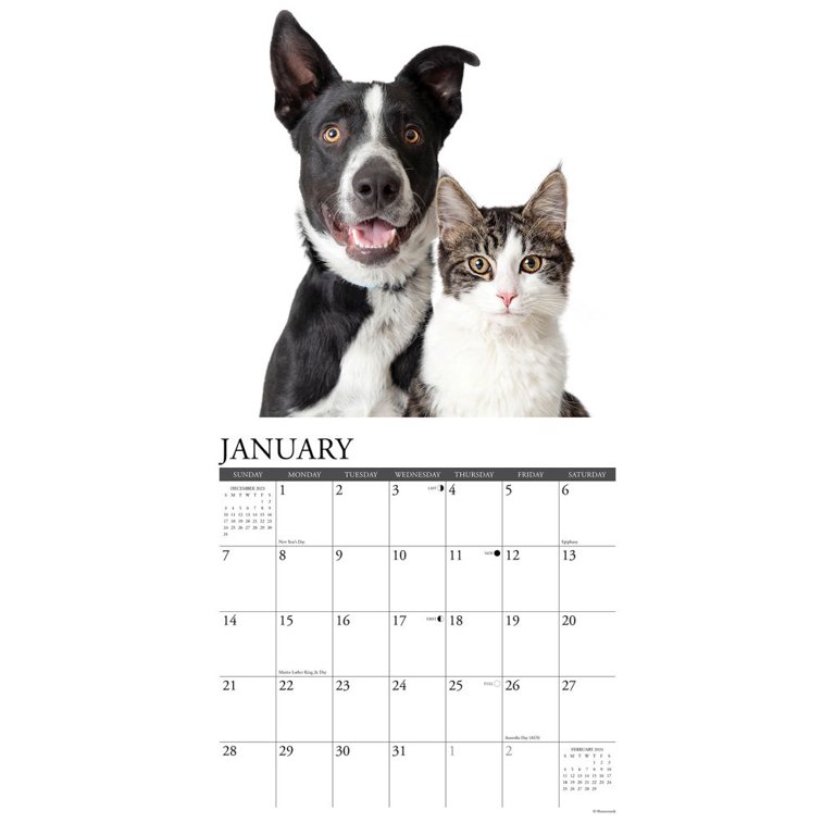 Cats & dogs 2024 12 x 12 wall calendar (other) - walmart.com