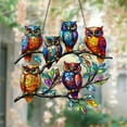 thumbnail image 4 of HaoXun Cute Owl Acrylic Hanging Pendant with Chain - Window & Door Decoration, Modern Home Gift for Birthdays, Christmas | Flower Series Animal Bird Design, 4 of 8