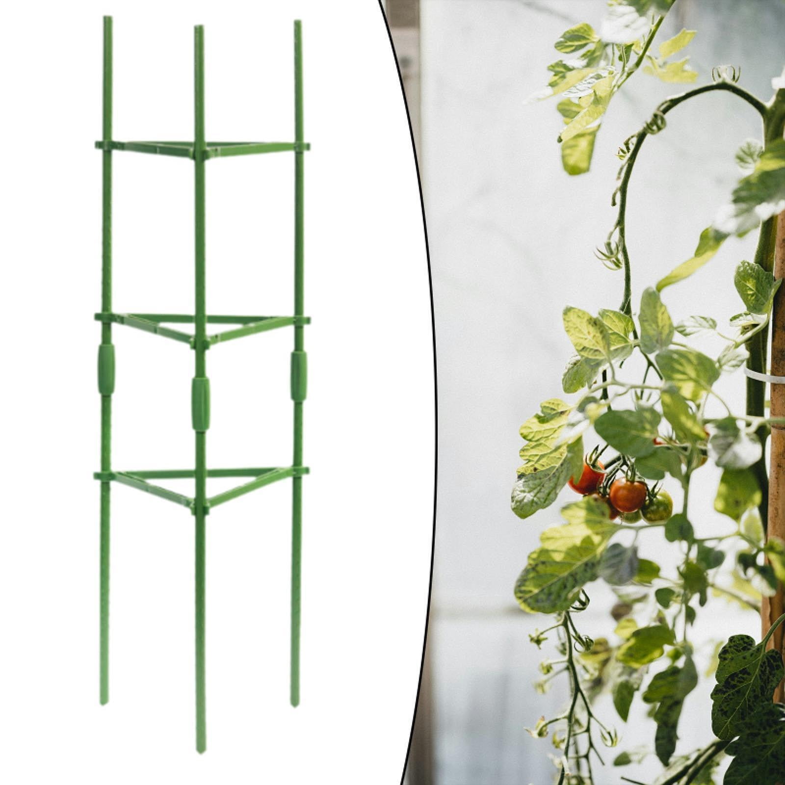 Aymzbd Tomato Cage, Garden Trellis Rods, Plant Rods, Support Cages, Trellis for Flowers Height 120cm