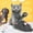 Gray with black ear, variant on VIVIDCRAFT Funny Remote Control RC Rat Mouse MICE Wireless For Cat Toy Gift Dog Pet