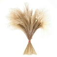 thumbnail image 1 of 100Pcs Rustic Dried Pampas Grass Reeds Arrangements Vase Filler, 1 of 10