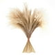 thumbnail image 1 of Hierba de Pampas seca Natural, arreglos florales, decoración de habitación Bohemia, ramo de flores para Festival, sala de , decoración de ,, 1 of 9