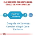thumbnail image 3 of Royal Canin Starter Mother & Babydog Mousse 145g 24pz, 3 of 6