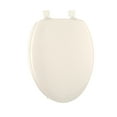 Exquisite Elongated Wood Toilet Seat, White