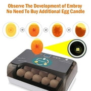 Digital Egg Incubator Hatcher w Temperature Controller Automatic Turning 12 Eggs