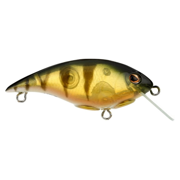 Berkley Shallow Money Badger Fishing Crankbait, 1.5 in, Hybrid Baitfish-Crayfish