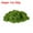 Light Green 7oz, variant on Uxcell Preserved Reindeer Moss, 7 oz Fake Moss for Crafts Artificial Dried Moss for Decoration, Craft, Terrariums, Potted Plants, Centerpieces Fairy Gardens (Light Green)