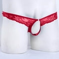thumbnail image 3 of Bikini Floral Underwear Semi Briefs Mesh See-through Lingerie Men Lace, 3 of 6