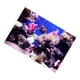 thumbnail image 4 of Telón De Fondo 3D Acuario Bajo el Interior TV Papel Tapiz Vinilo Fotografía Fondo Niños De Niños, 4 of 5
