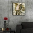thumbnail image 5 of Epic Art 'Amazonia 3' by Jadei Graphics, Acrylic Glass Wall Art, 24"x24", 5 of 8