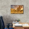 thumbnail image 3 of Epic Graffiti 'Joshua Tree Golden Hour' by Mark A Paulda, Canvas Wall Art, 26"x18", 3 of 8