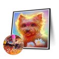 thumbnail image 2 of Taladro redondo completo del diamante artificial de la pintura del diamante 5D DIY del animal para la decoración del sitio FLhrweasw Nuevo, 2 of 9