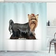 thumbnail image 1 of Ambesonne Yorkie Shower Curtain, Bow Head Meshed Colors, 69"Wx70"L, Multicolor, 1 of 3