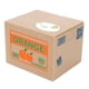 thumbnail image 2 of Lindo e ingenioso gato ladrón de monedas, automático, para niños, caja de ahorro de dinero, gato blanco inglés, 2 of 14