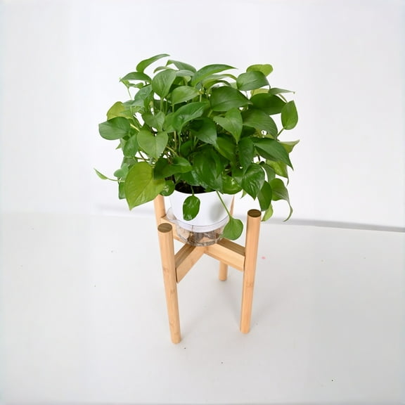 Foqnuq Scalable Plant Rack for Flower Pots, Adjustable Flower Display Stand, Wooden Plant Holder Stand for Home, Office, Garden Decor - Fits 10-12.6" Pots