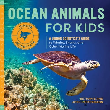 Junior Scientists Ocean Animals for Kids: A Junior Scientist&apos;s Guide to Whales, Sharks, and Other Marine Life, (Paperback)