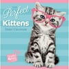 2019 BOX CALENDAR, STUDIO PETS - KITTENS