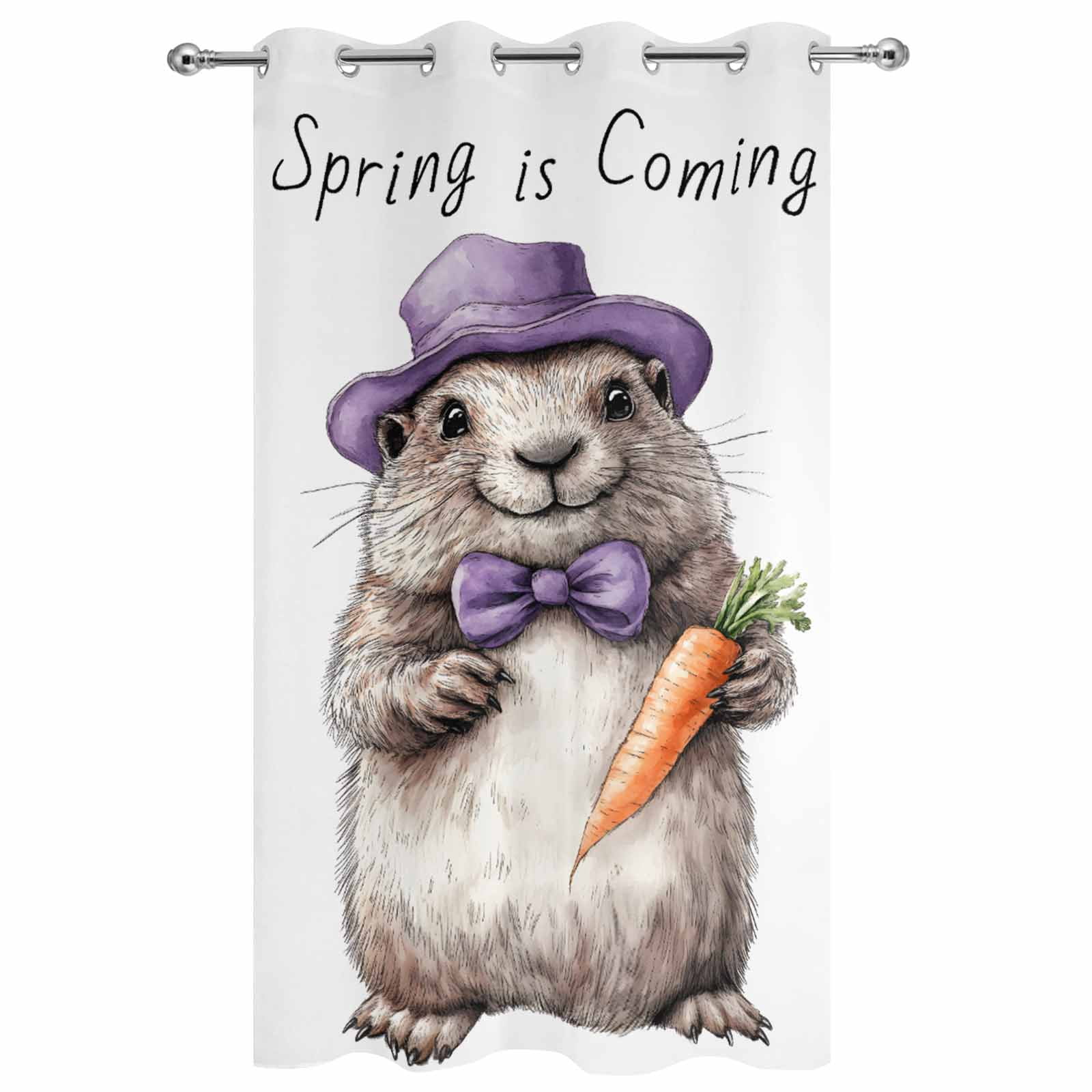 Outdoor Curtains for Patio Waterproof, Groundhog Day Windproof Pravicy Outside Porch Blackout Curtain, Spring Cute Grey Animals Carrot Sun Blocking Grommets Curtains for Cabana Gazebo 54"x108"
