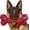 1 PC-Beef-Red, variant on Xwl Tough Dog Toys for Aggressive Chewers Large Breed, Dog Chew Bone with Bacon Flavor, Nylon & Rubber Chew Toy for Medium Large Dogs