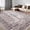 Bohemian-Beige, variant on ChakmeOne Machine Washable Area Rugs, 5x7 Rugs for Living Room, Boho Rugs Non Slip Low Pile Soft Lightweight Carpet for Bedroom Kitchen Dining Room Farmhouse Nursery Kids Room