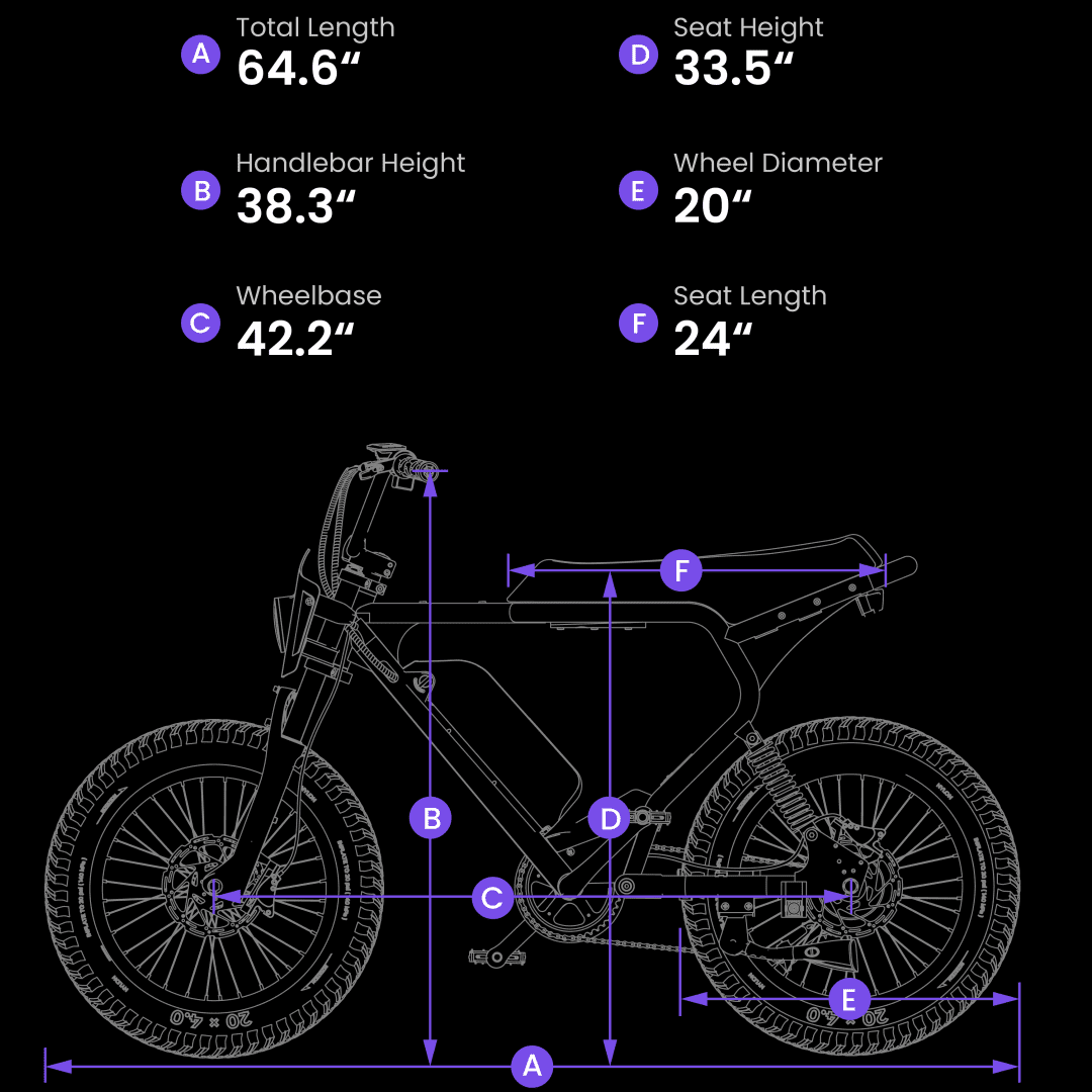 Macfox X2 1000W Peak Electric Mountain Bike , 20"x4.0" Fat Tire E-Bike, 48V 20Ah Battery, 20MPH, Full Suspension