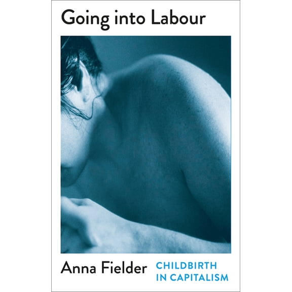 Mapping Social Reproduction Theory Going Into Labour: Childbirth in Capitalism, (Paperback)