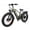 Men's 2401 - Green, variant on 24 in 48V 2000W Dual Drive Adult Electric Bike 48V 20AH, 40 mph, 35MPH, Aluminum Alloy Frame, Hydraulic Lockout Fork, Hydraulic Disc Brakes