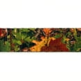 thumbnail image 3 of Country Brook Design® Southern Forest Camo Lite Tape (1/2 Inch, 5 Yards), 3 of 5