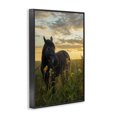 thumbnail image 2 of Stupell Industries Farmhouse Standing In Field Of Flowers Black Framed Giclee Art, 16 x 24, by Creative Studio, 2 of 8