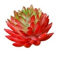 thumbnail image 1 of Mini Artificial Succulents Simulation Plant Bonsai for Desktop Home Garden Decor, 1 of 4