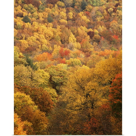 Great BIG Canvas | Rolled Adam Jones Poster Print entitled North Carolina, View of Great Smoky Mountains National Park in
