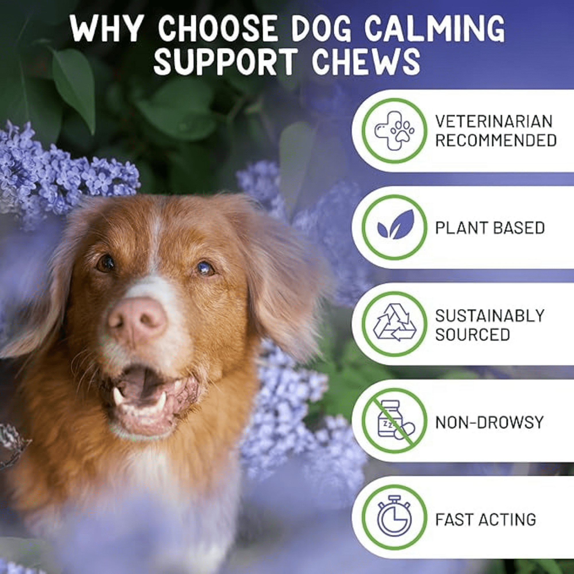 Brave Paws Calming Soft Chews Stress Relieving Chewable for Dogs & Puppies