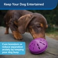 thumbnail image 4 of Dispensador de juguetes para perros PetSafe Busy Buddy Twist 'n Treat pequeño, 4 of 6