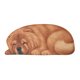 thumbnail image 2 of 3D Cute Pet Dog Themed Carpet,Welcome Floor Doormat 34.25x15.74in Non Slip Floor Mat Summer Holiday Funny Novelty Door Mats Indoor Outdoor Decor, 2 of 8