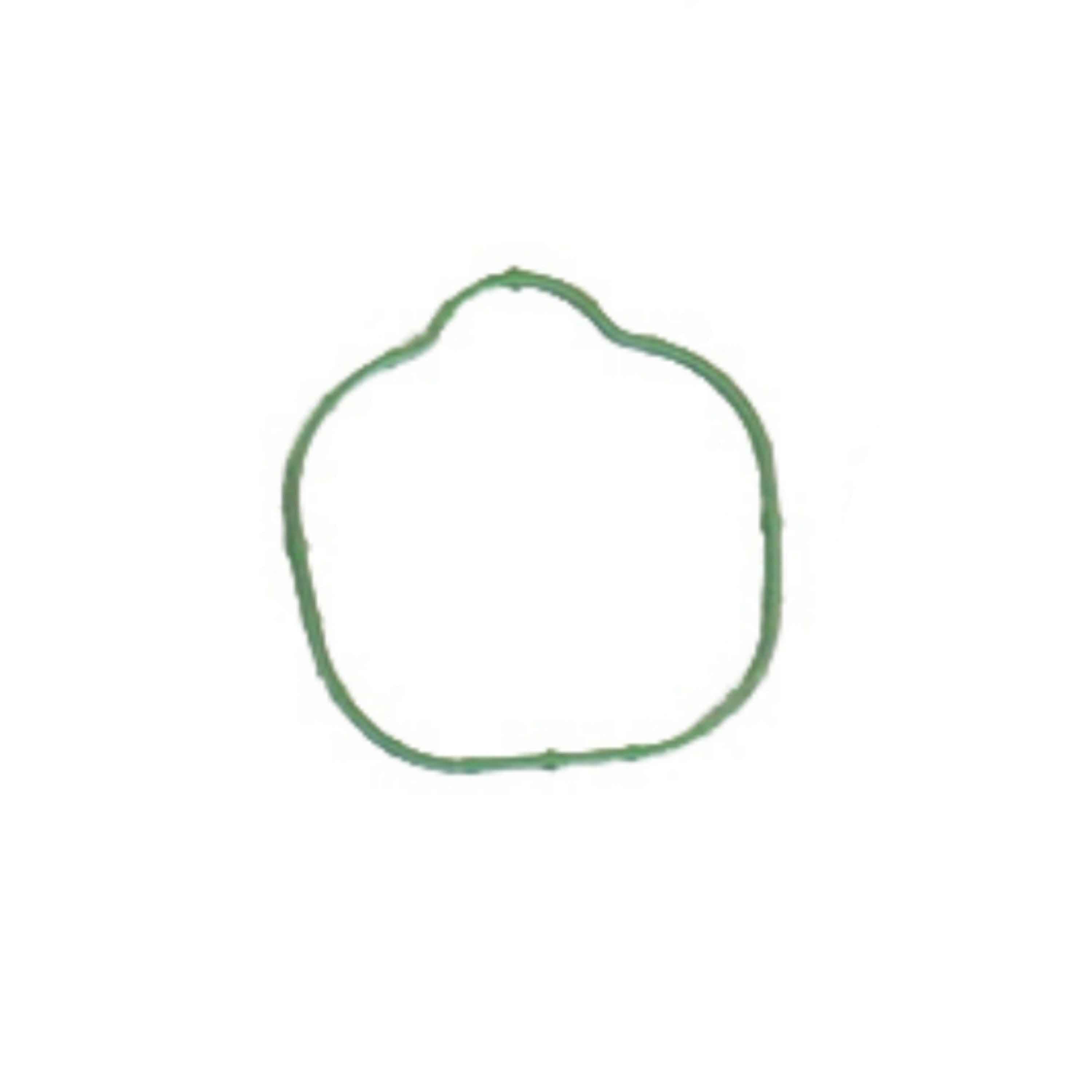 DNJ IG4224 Intake Manifold Gasket Fits Cars & Trucks 10-15 Ford F150 6.2L V8 DOHC 16v Cu. 379
