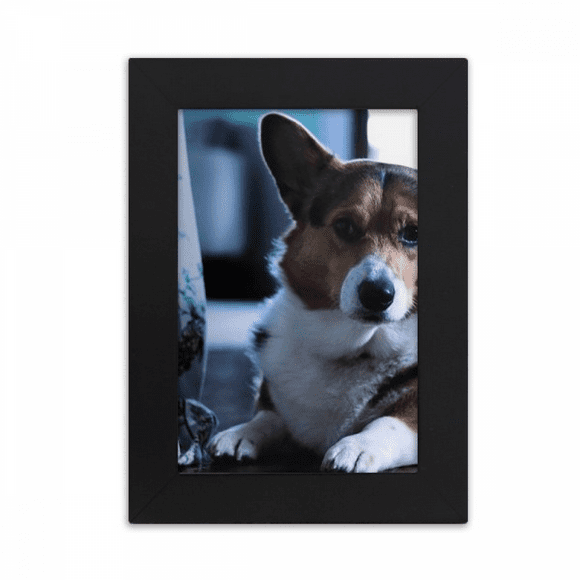 corgi dog pet animal lly picture desktop photo frame picture display art painting exhibit