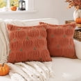 thumbnail image 6 of 2 Pack 16X16 Inch Pumpkin Throw Pillow Covers Halloween Pumpkin Decor Farmhouse Fall Decor for Couch Bedroom Living Room Thanksgiving Home Decorations, 6 of 7