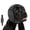 S:(11-14in), variant on 2026 Upgrade Silent Dog Ear Muffs, Adjustable Soft Noise Protection Ear Wrap, Comfortable Hearing Protection for Small Medium Large Dogs