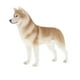 thumbnail image 4 of Figuras de Modelo Sunnimix Juguete de figura de animal Husky 2 Piezas, 4 of 8