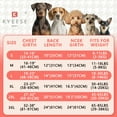 thumbnail image 2 of Chaleco Refrescante para Perros KYEESE Ligero 3D Transpirable Morado XL, 2 of 9