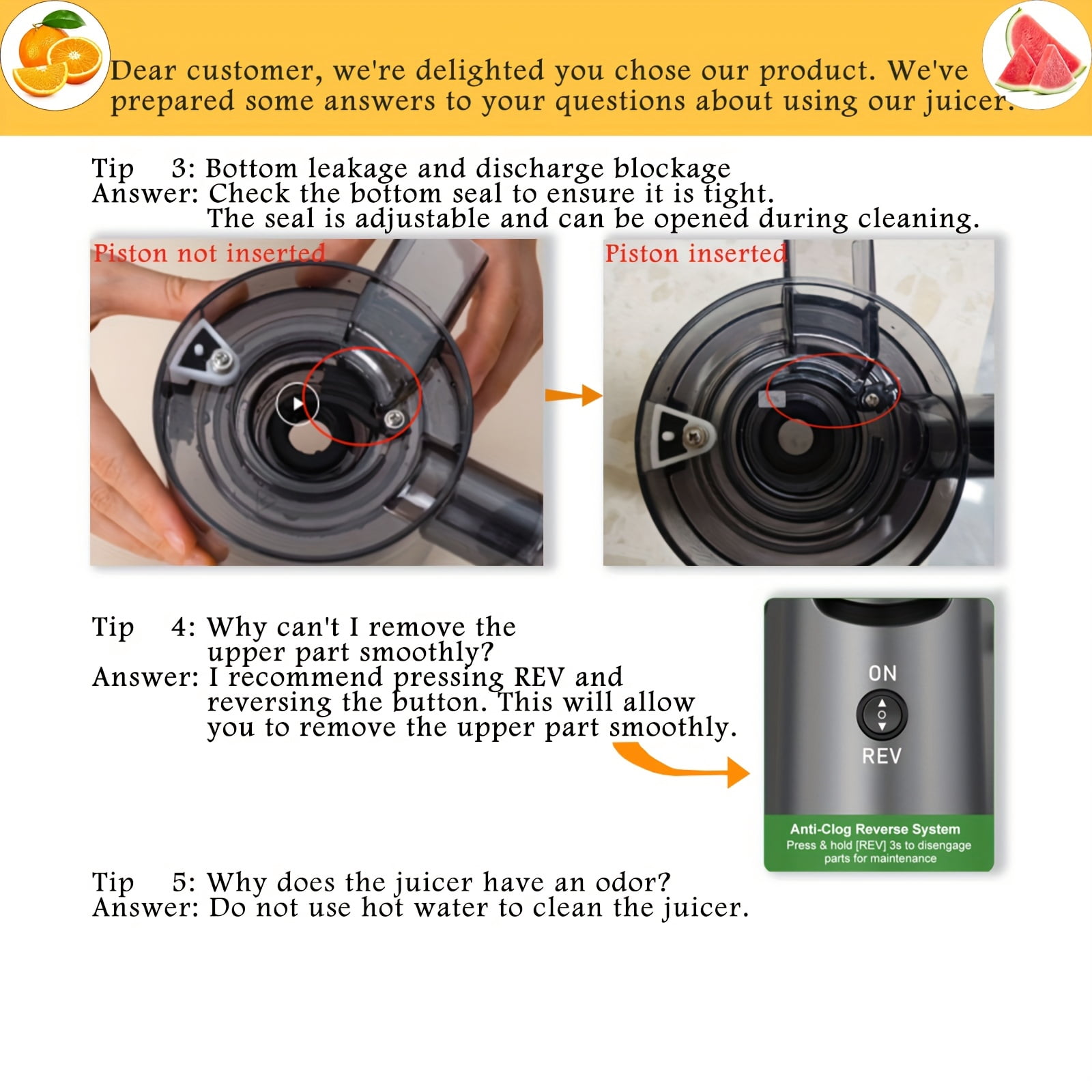 Fanruina Cold Press Juicer Masticating Juicer with Wide Feed Chute 350W Slow Juicer Ideal for Whole Fruits And Vegetables High Juice Yield